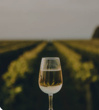 The Tipsy Traveler blog cover